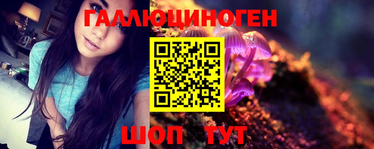 Галлюциногенные грибы Psilocybine cubensis  купить   Свободный  Галлюциногенные грибы мицелий  Вход с VPN 